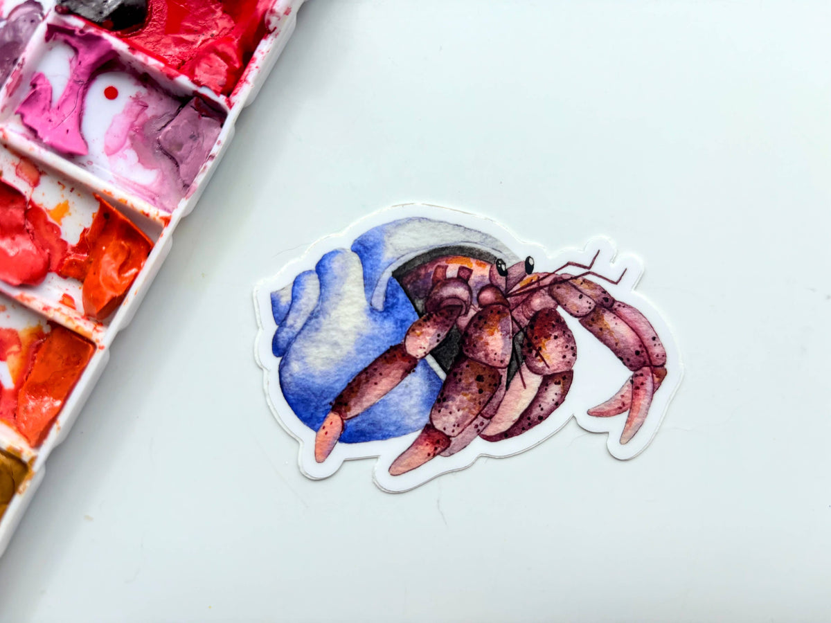 Hermit Crab Vinyl Sticker - Ocean Beach Pet