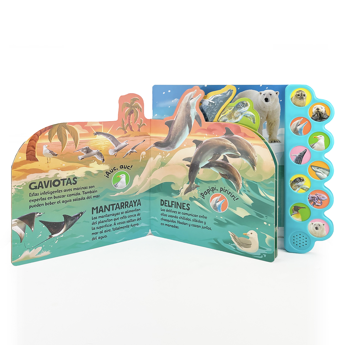 ¡Nada y Salpica en el Mar! / Swim, Splash, in the Sea! (Span