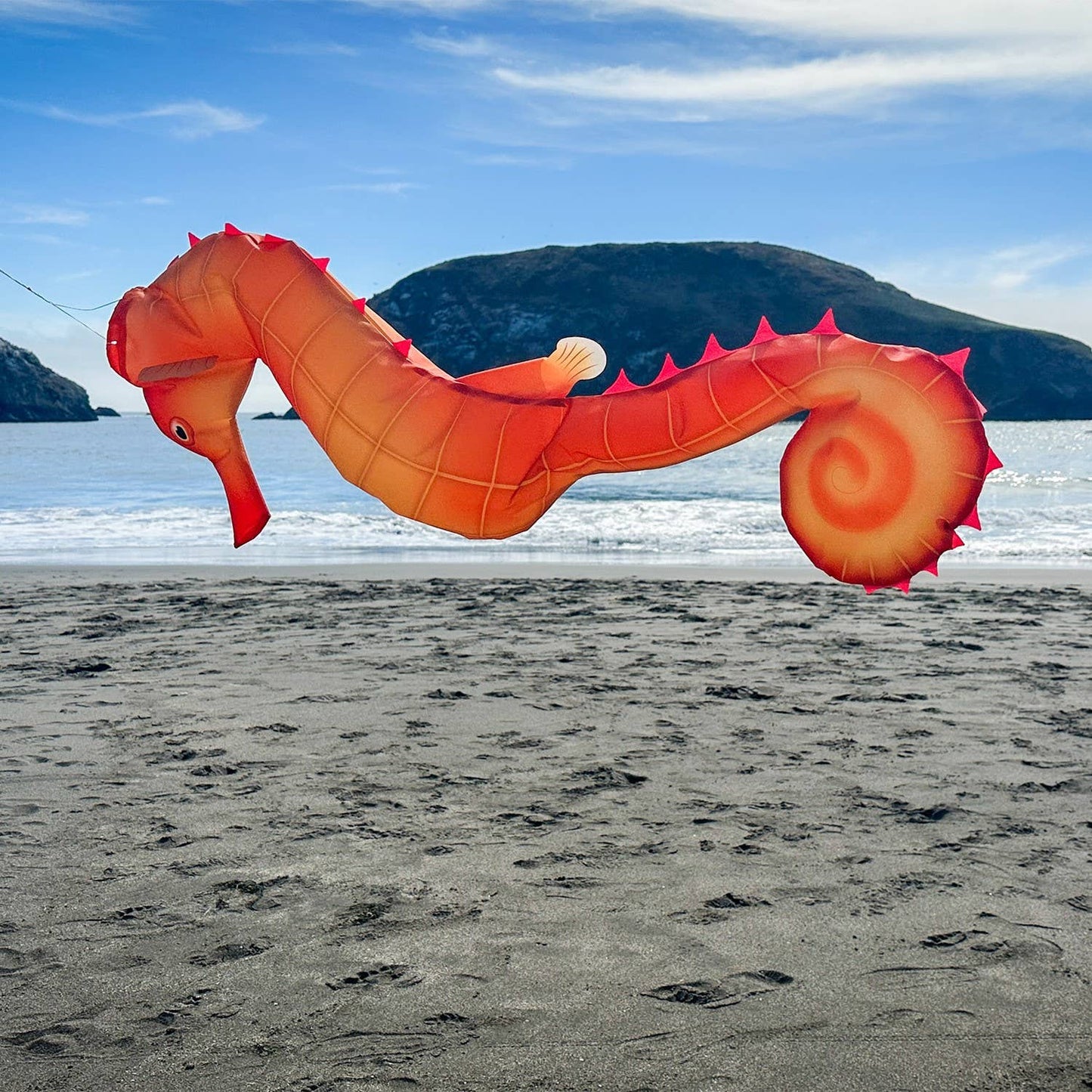 40" Seahorse 3D Windsock
