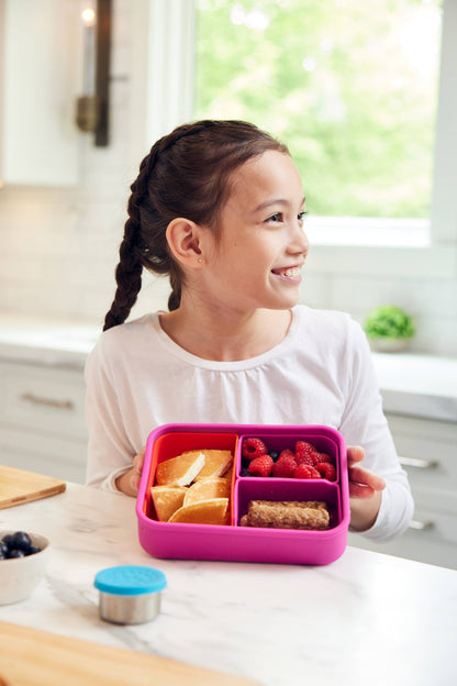 Large Build-A-Bento 4 cups Mantis Shrimp