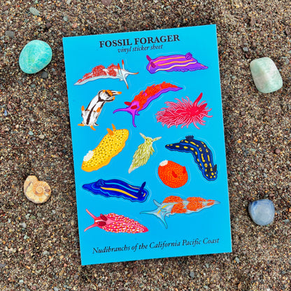 Nudibranchs of the California Coast Sticker Sheet