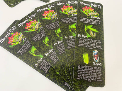 Monarch Lifecycle Bookmark