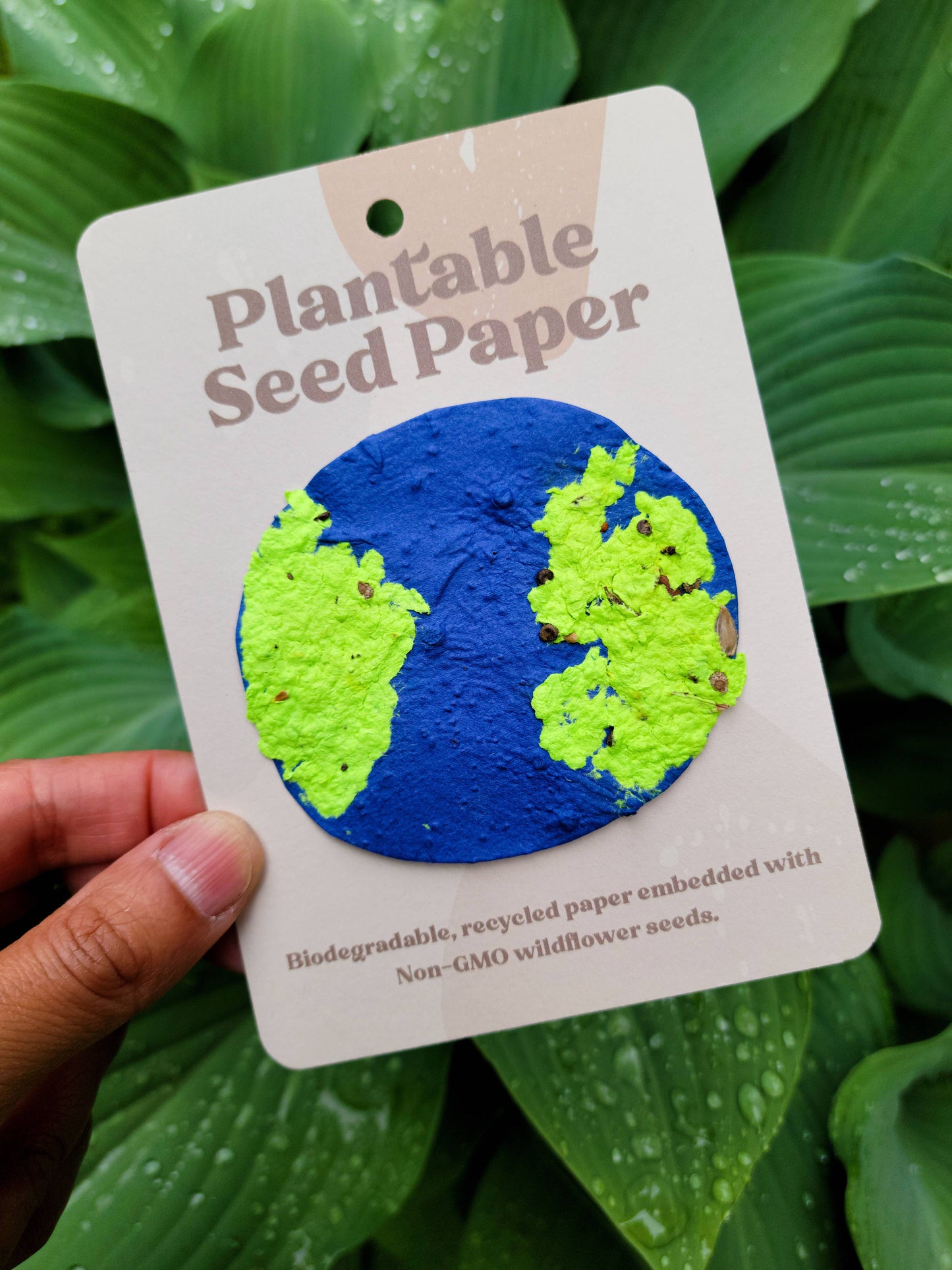 Plantable Seed Paper