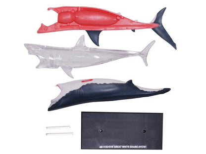 4D Great White Shark