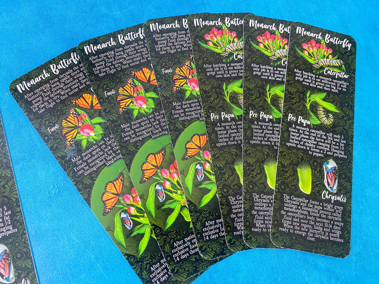 Monarch Lifecycle Bookmark
