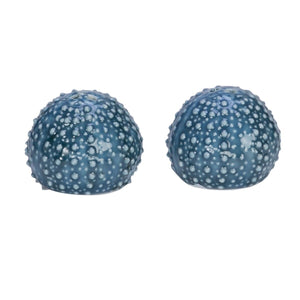 BLUE SEA URCHIN S&P