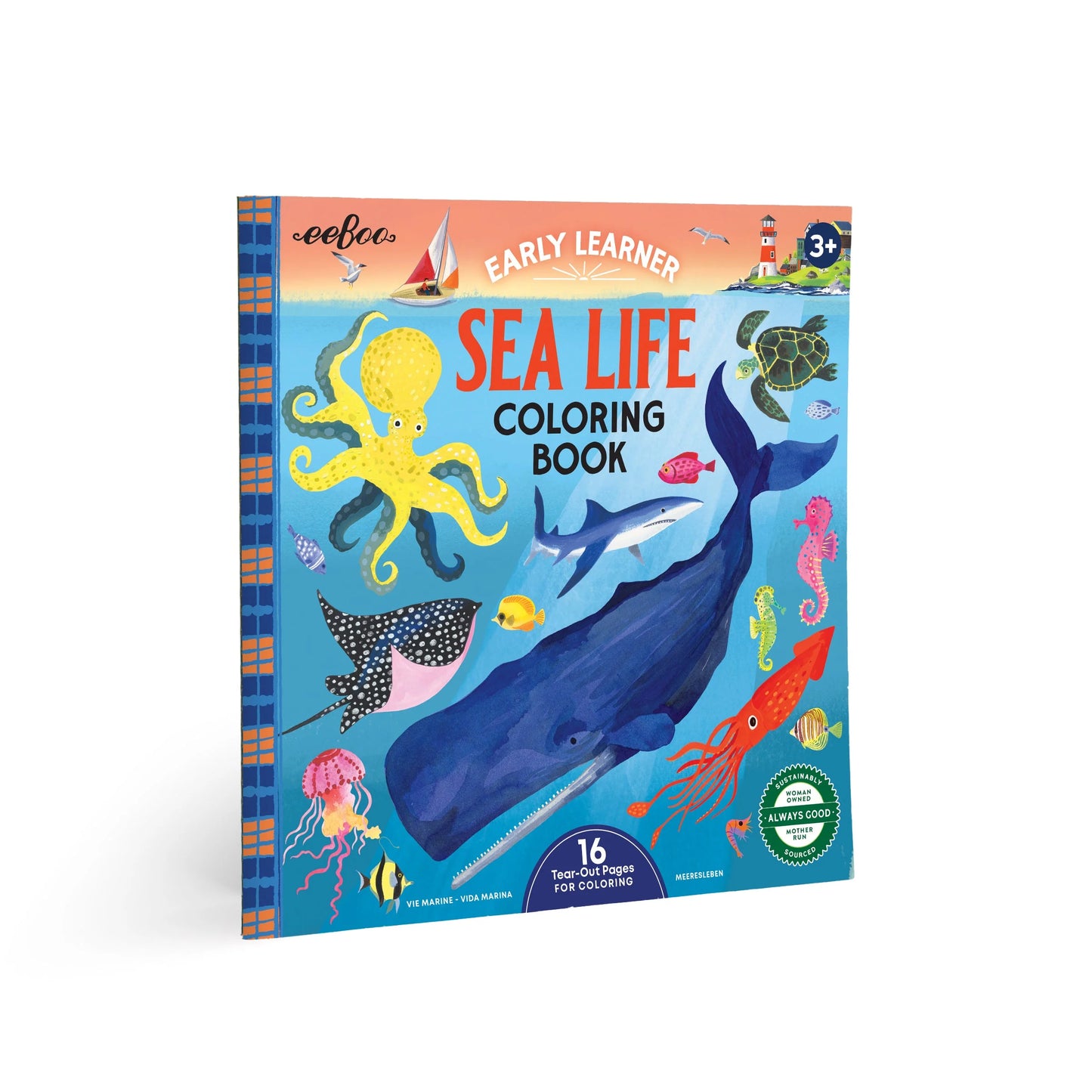 Sealife Square Coloring Book