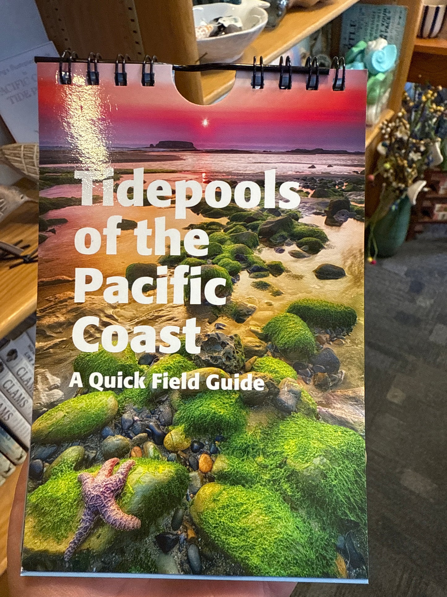 TIDEPOOLS OF THE PACIFIC COAST