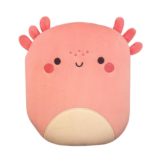 Squishy and Snugg Groovy Axolotl Book