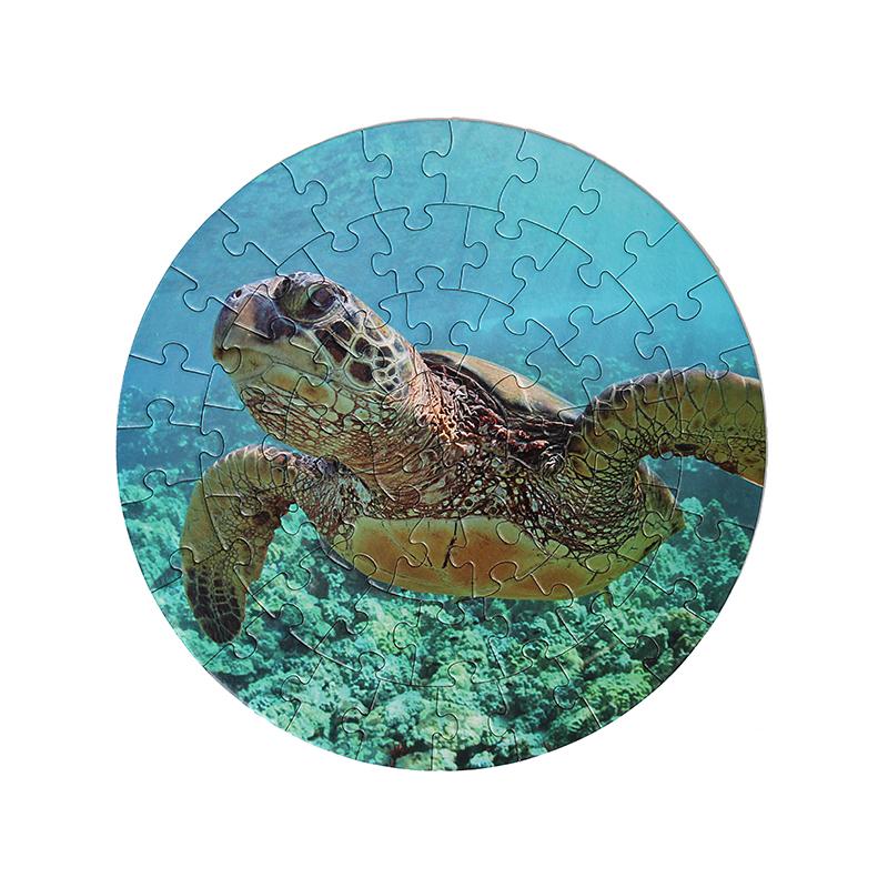 Round Turtle Puzzle