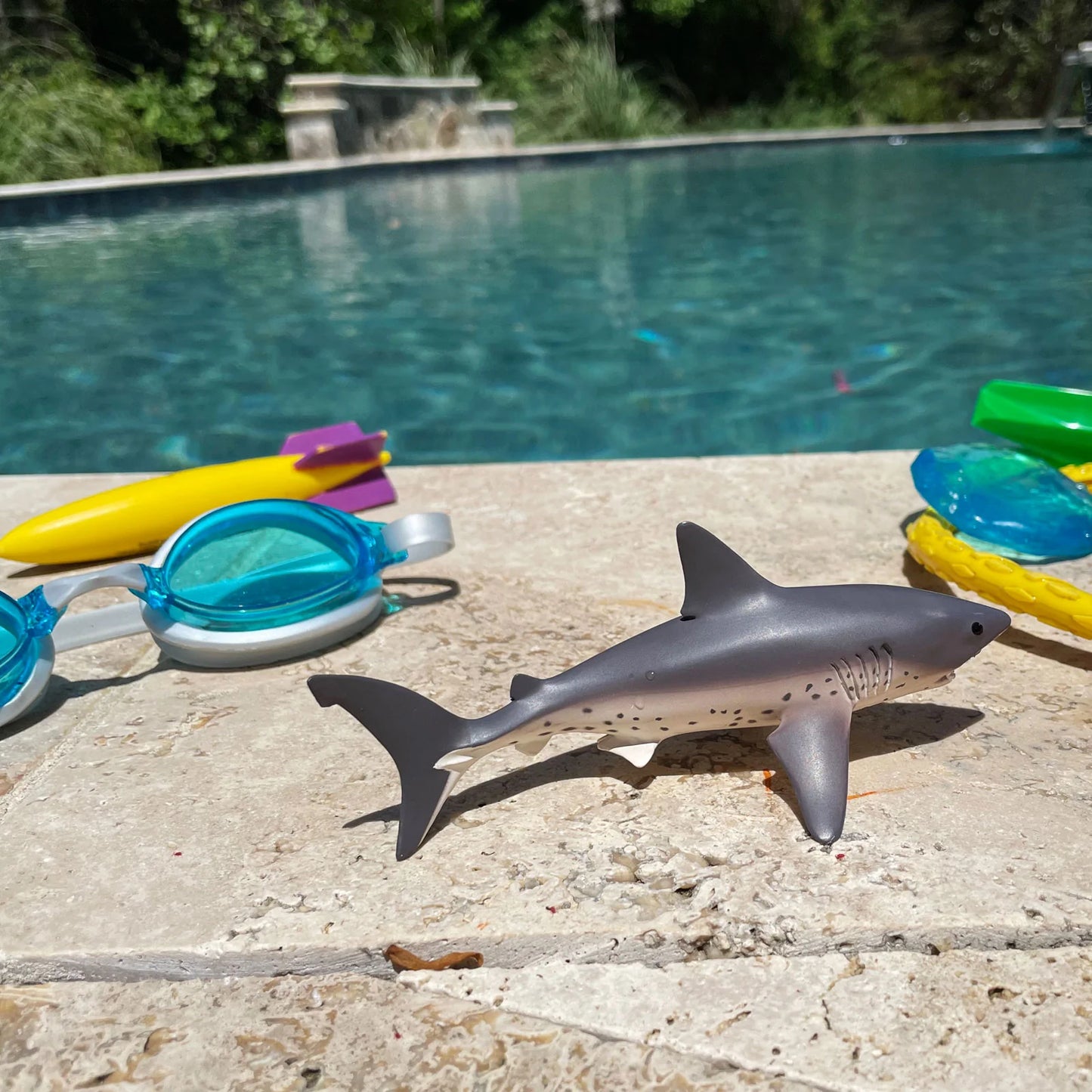 SALMON SHARK