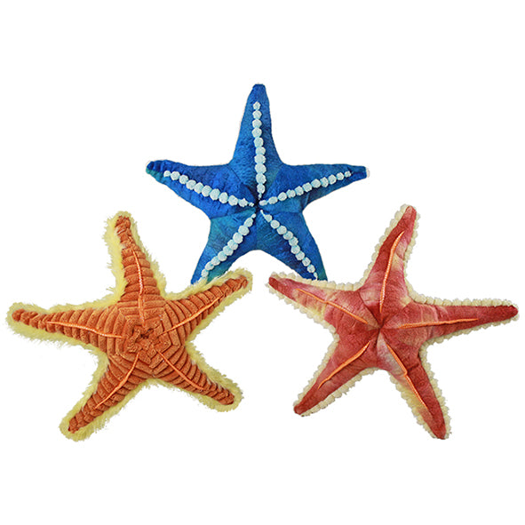 NP TEXTURED STARFISH