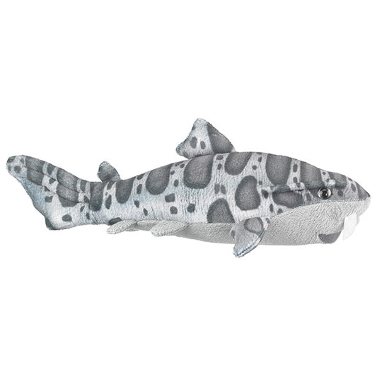 Leopard Shark