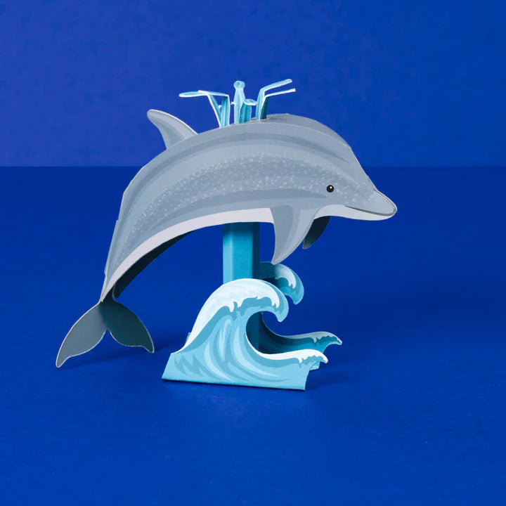 Dinky Dolphin