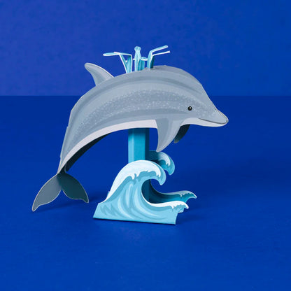 Dinky Dolphin
