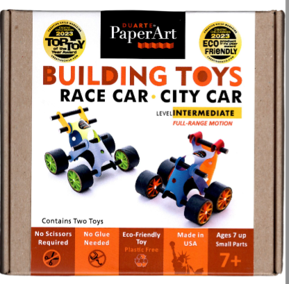 RACE CAR-CITY CAR