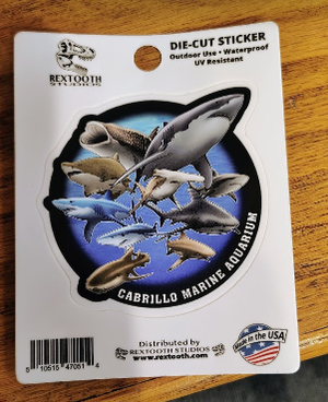 CMA SHARK CIRCLE STICKER