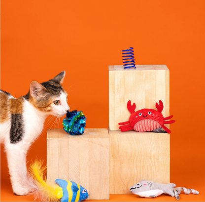 Water You Waiting For? 6pc Cat Toy Set