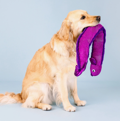 Kind Of A Big Eel Large Plush Dog Toy