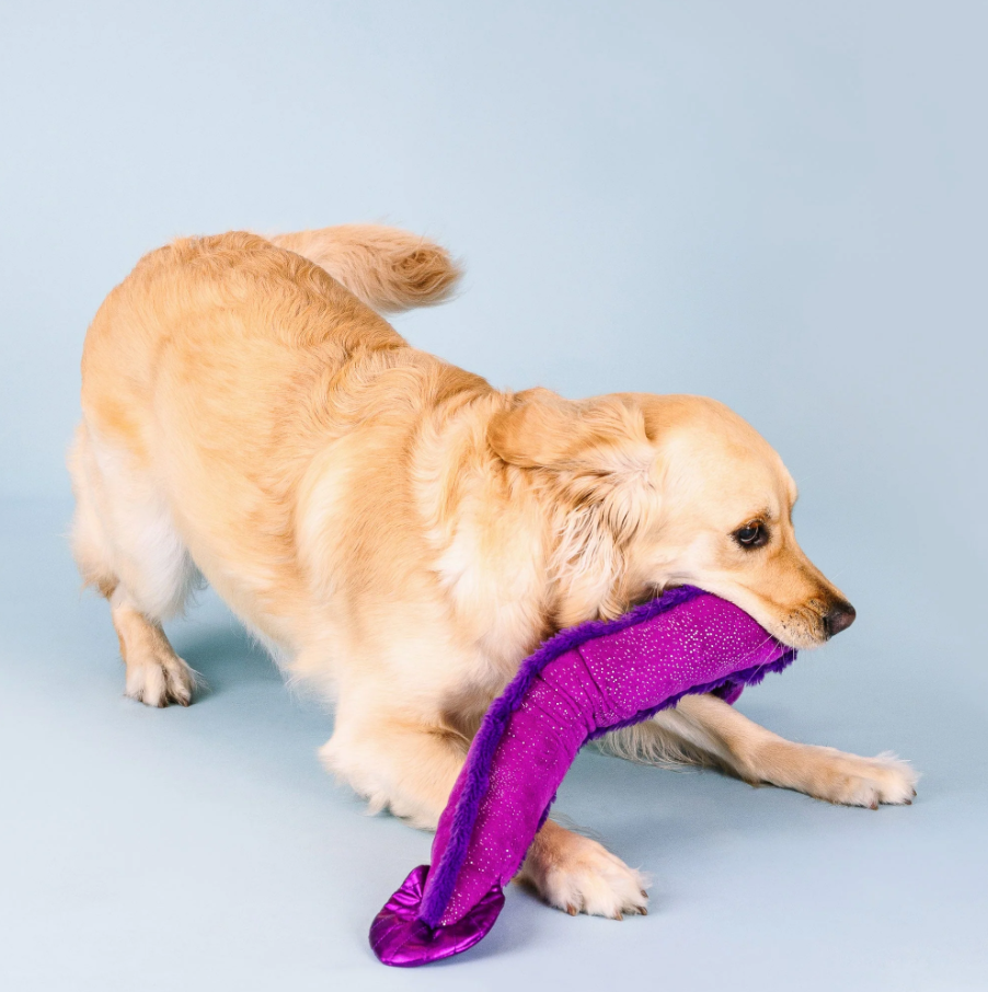 Kind Of A Big Eel Large Plush Dog Toy