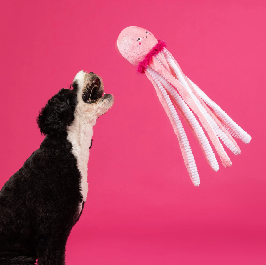 Do Your Own Sting Large Plush Dog Toy