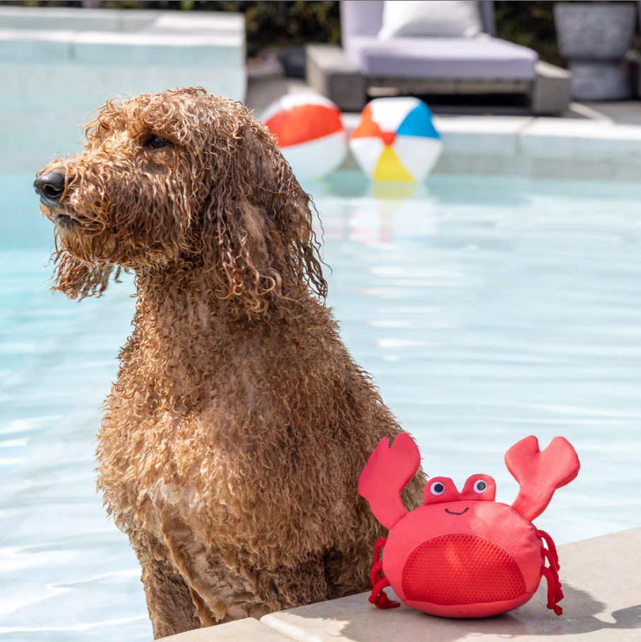 Claws Floating Dog Toy