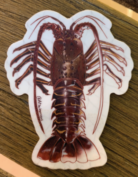 Salmon Seas Sticker