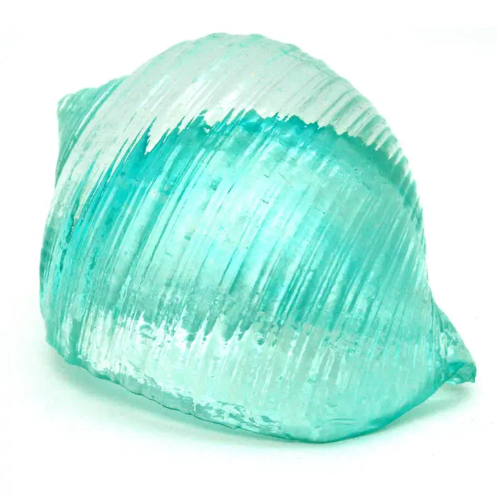 SMALL CLEAR BLUE TONNA SHELL