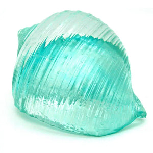 SMALL CLEAR BLUE TONNA SHELL