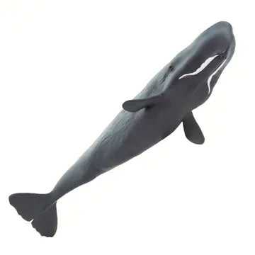 SPERM WHALE