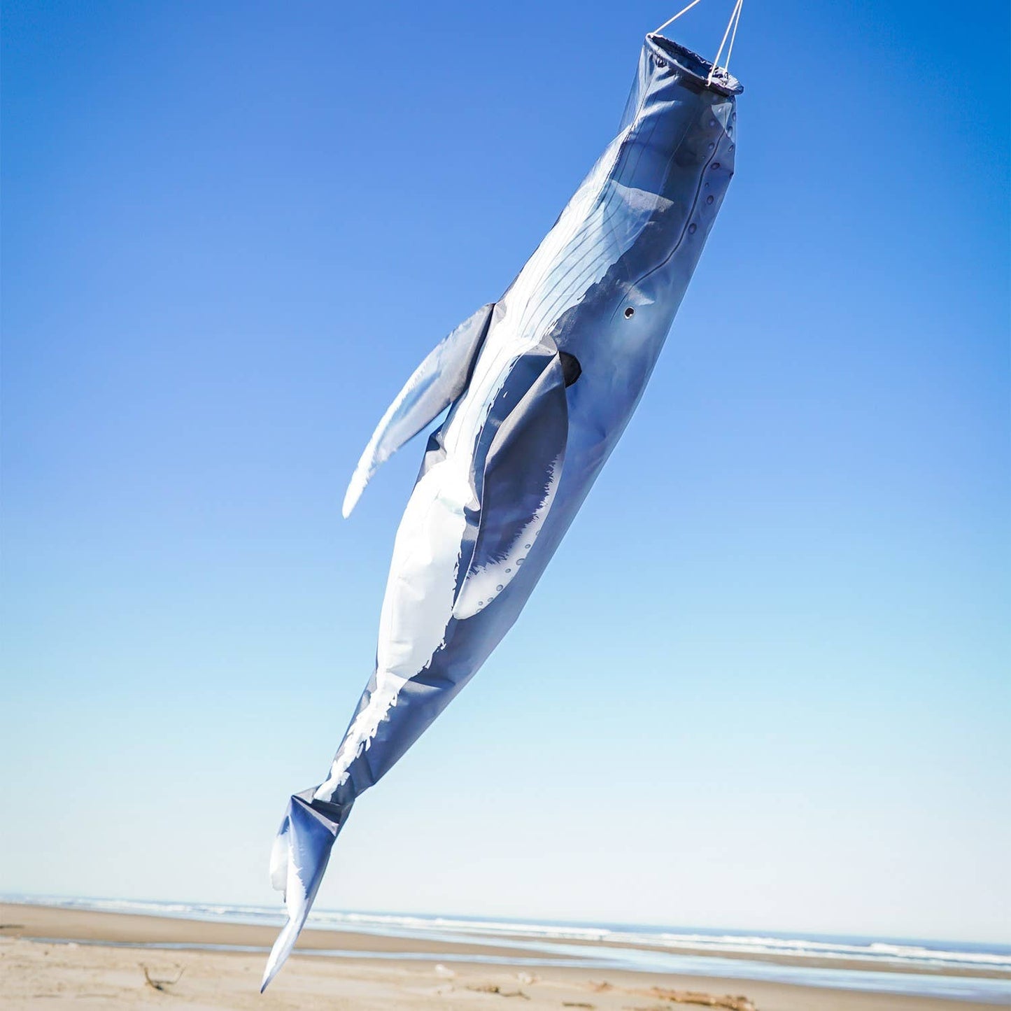 Humpback Whale 48" Fish Windsock