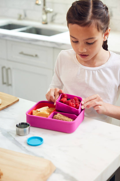 Large Build-A-Bento 4 cups Mantis Shrimp