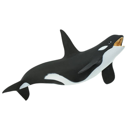 Killer Whale