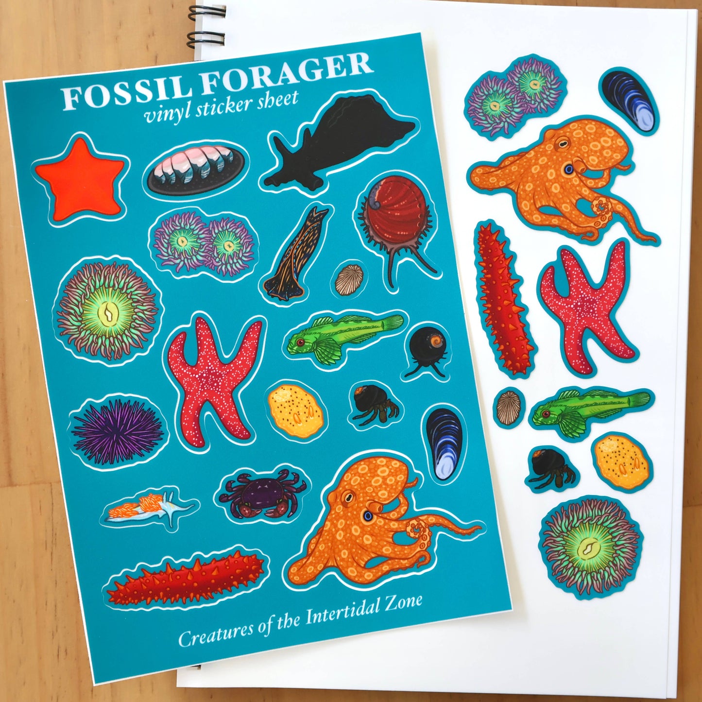 Creatures of the Intertidal Zone Sticker Sheet