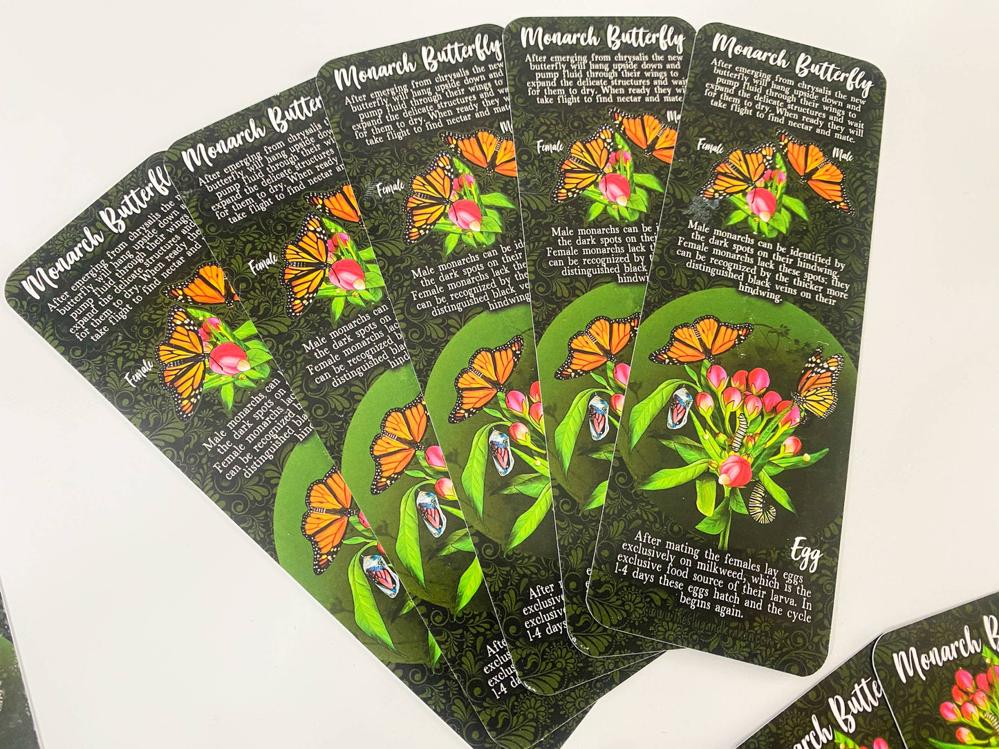 Monarch Lifecycle Bookmark