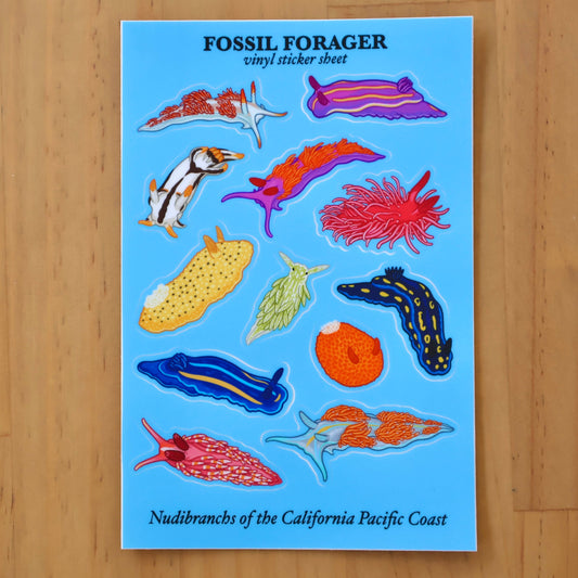 Nudibranchs of the California Coast Sticker Sheet