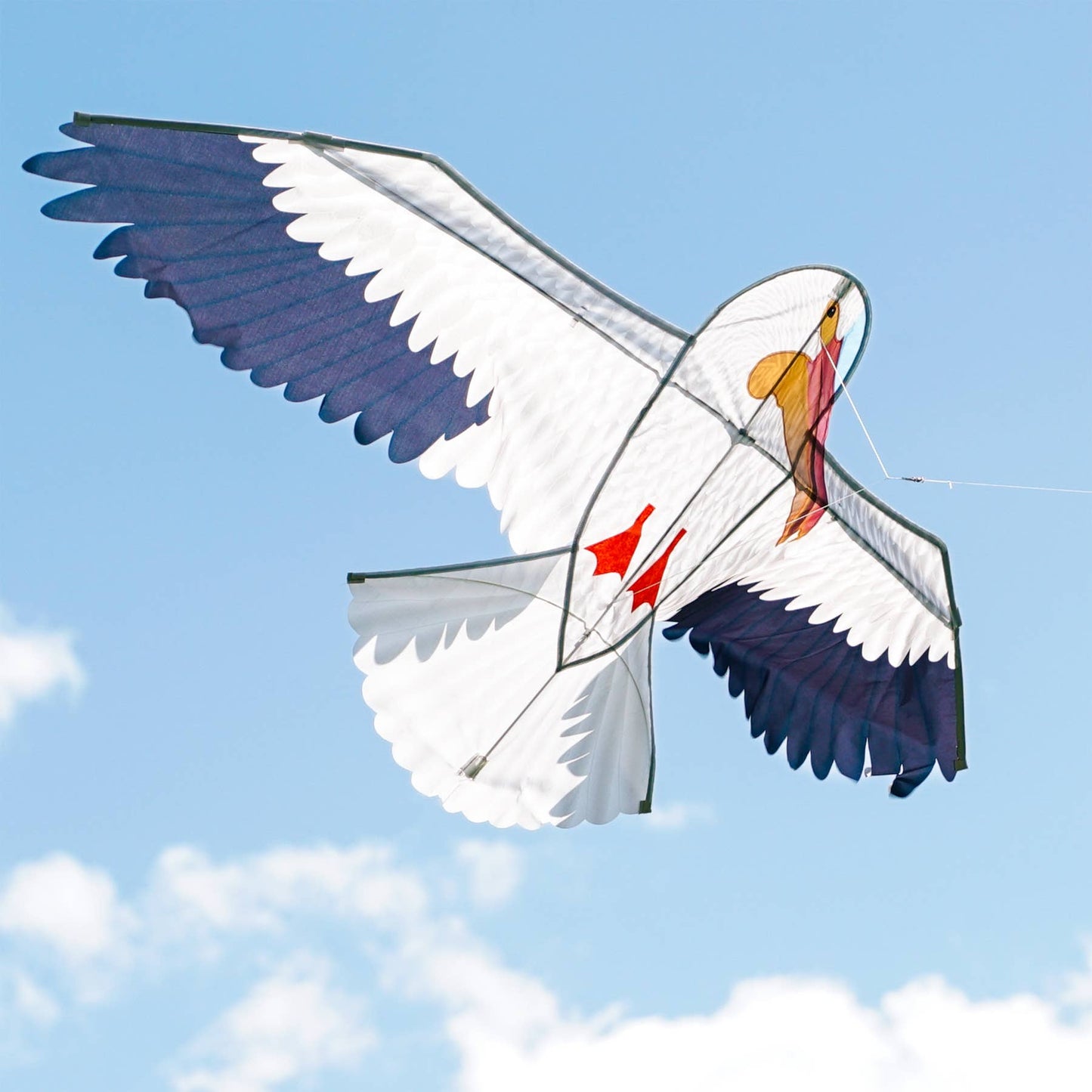 70" Pelican Kite