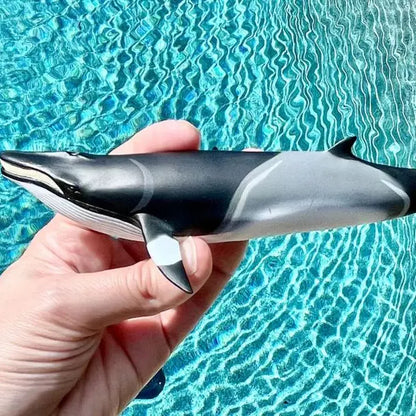 MINKE WHALE