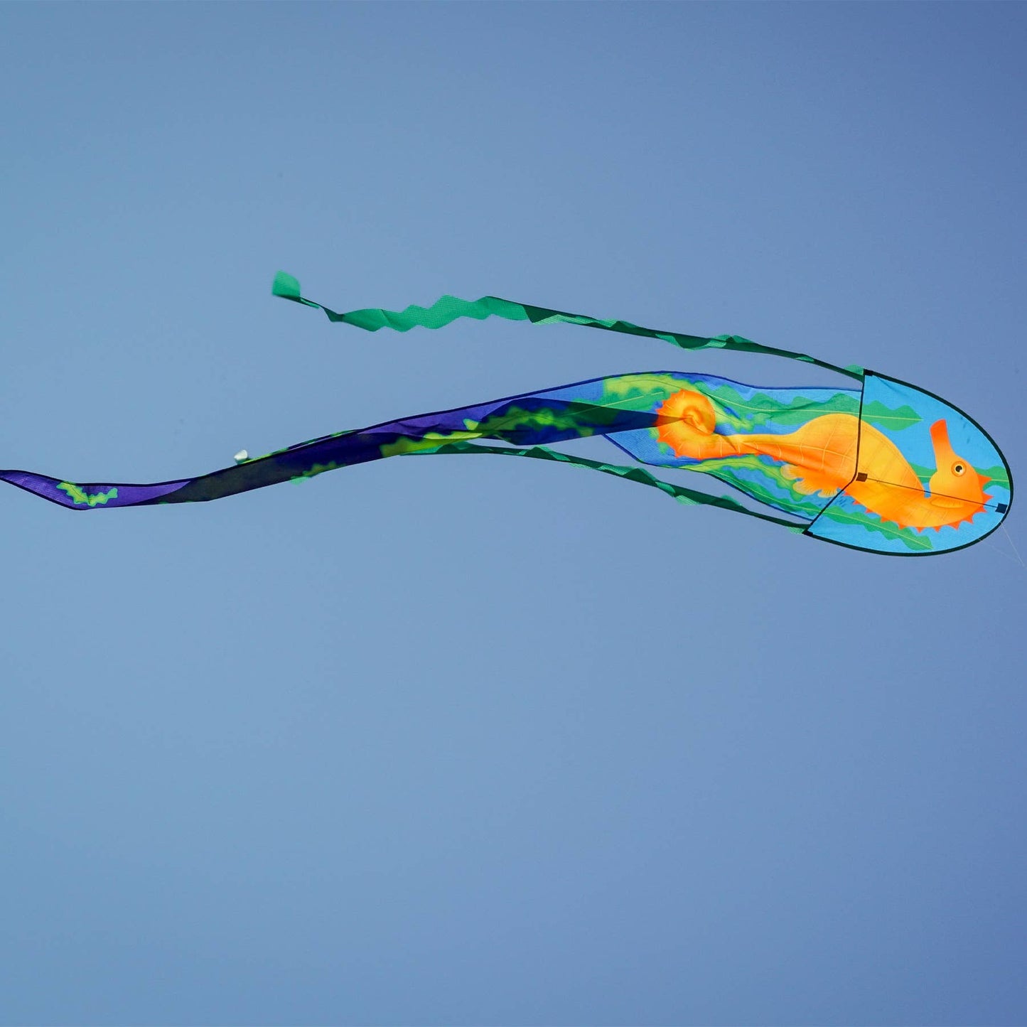 22" Seahorse Dancing Dragon Kite