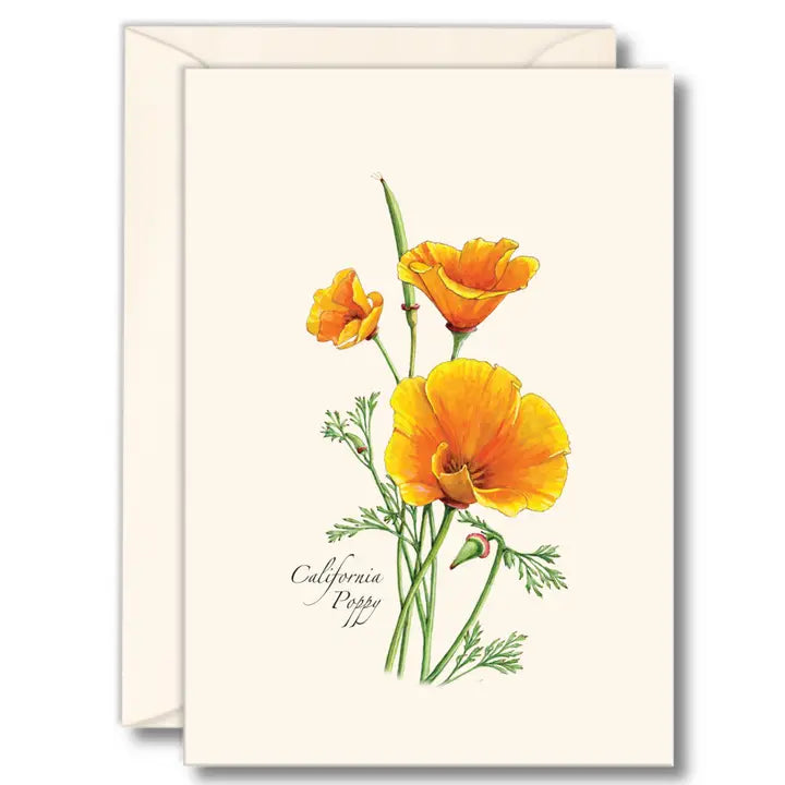Notecard Set