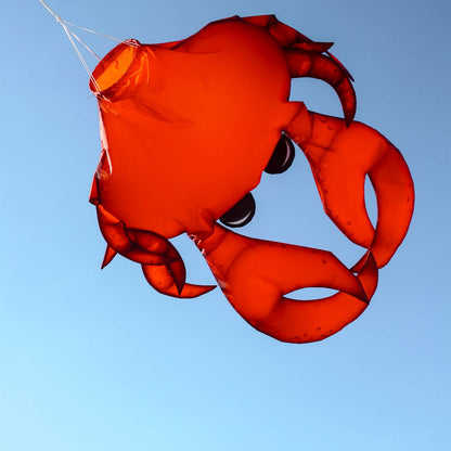40" Realistic Crab 3D Windsock