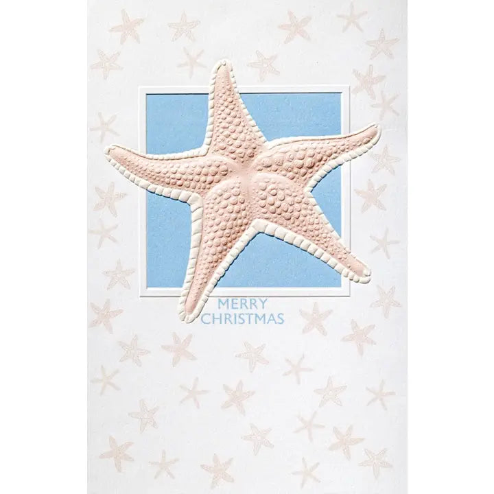 Splendid Starfish - Deluxe Box Christmas