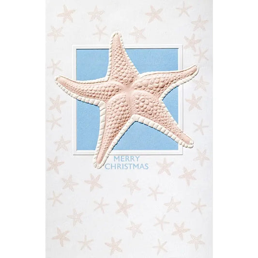 Splendid Starfish - Deluxe Box Christmas