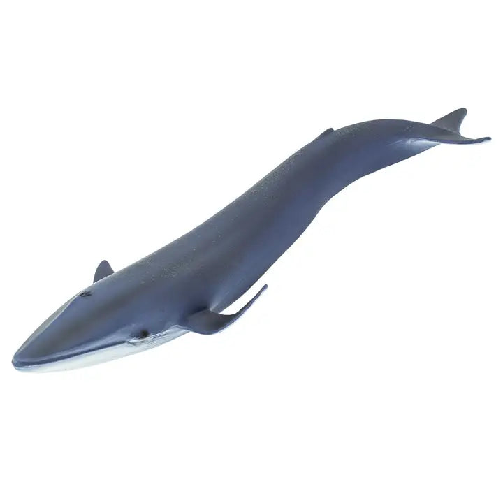 BLUE WHALE