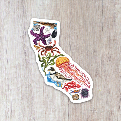 California Tidepools Sticker
