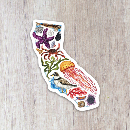 California Tidepools Sticker
