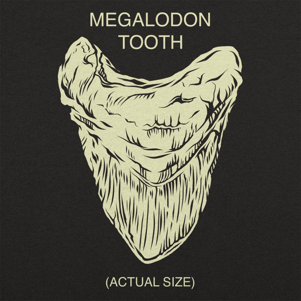 Megalodon Tooth Men's T-Shirt