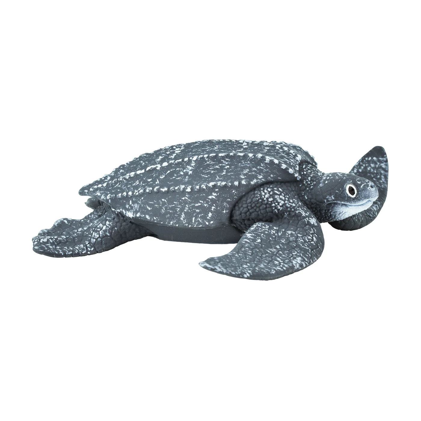 LEATHERBACK SEA TURTLE