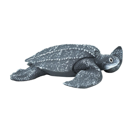 LEATHERBACK SEA TURTLE