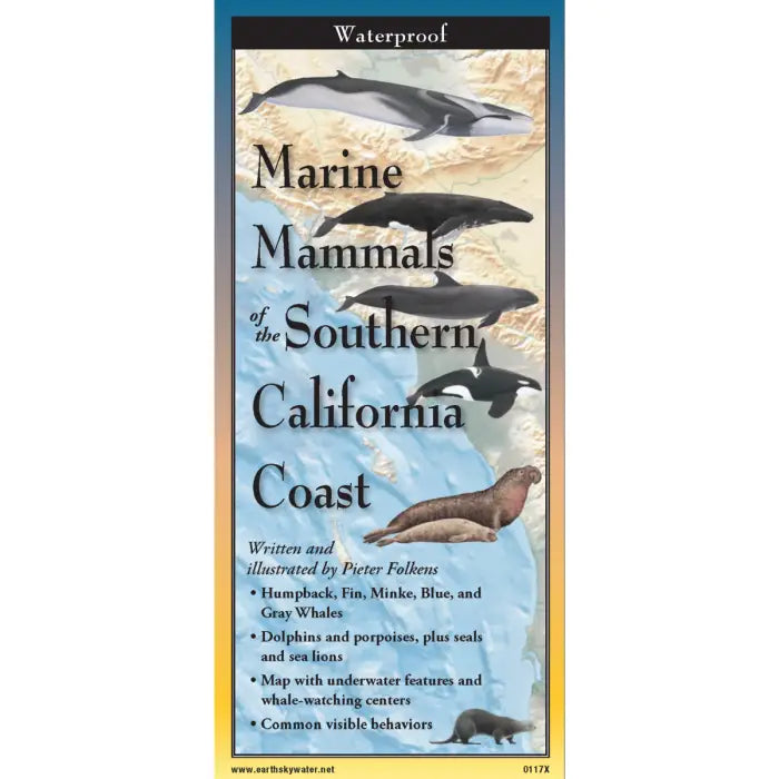 Marine Mammals of Southern California